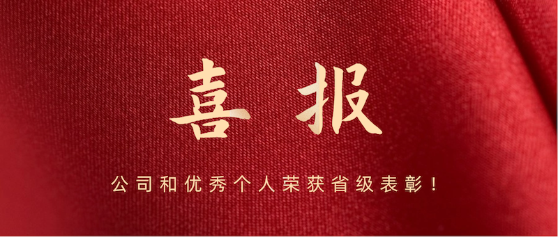 喜報 | 公司和優(yōu)秀個人榮獲省級表彰！